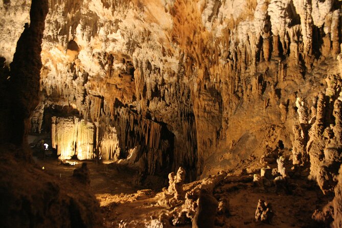 Lipica Stud Farm and Skocjan Caves from Koper - Guide commentary and the value of the ride