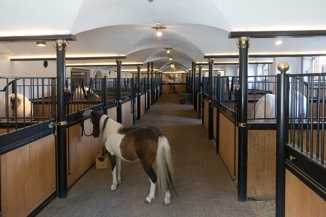 Lipica Stud Farm and Skocjan Caves from Koper - Is $134.68 a fair price?