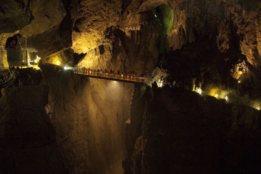 Lipica Stud Farm and Škocjan Caves from Trieste - Why this pairing works from Trieste