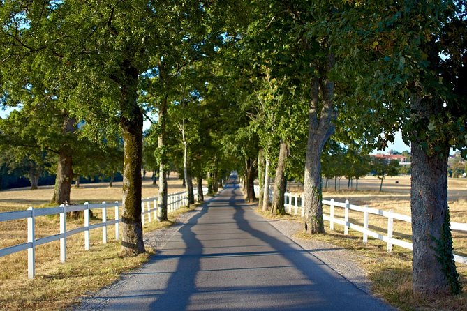 Lipica Stud Farm- Private Experience from Koper - Optional food stop near Koper