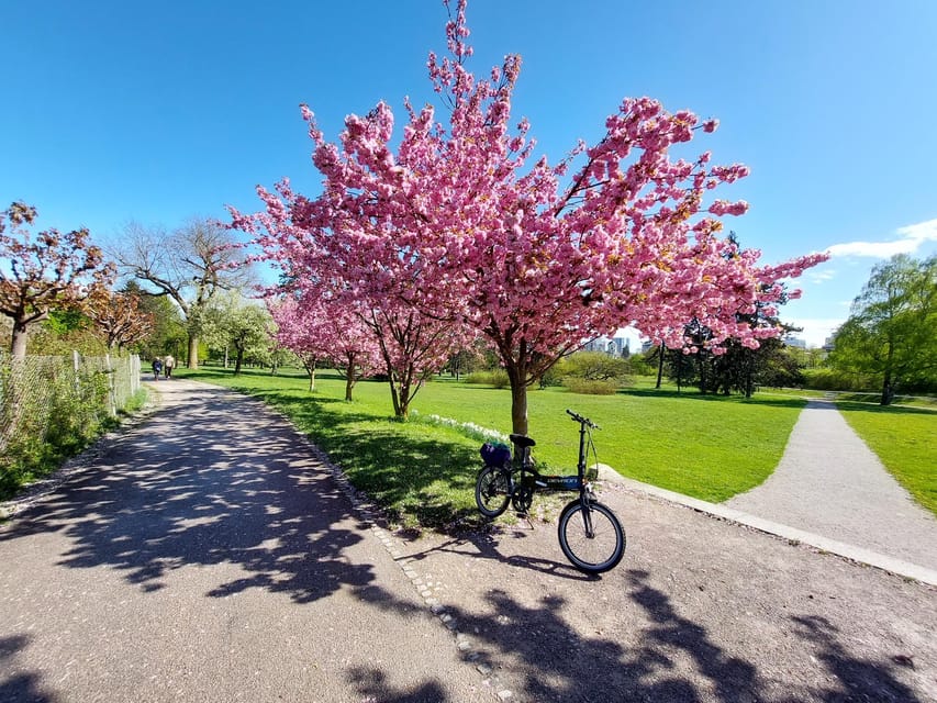 Ljubljana by E-Bike: Guided City Highlights Tour - What is not included in this city tour