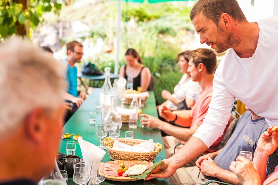Ljubljana: Karst & Coast Full-Day Trip - Who Should Book This Day Trip?