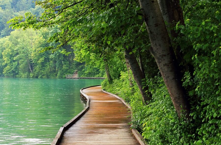 Ljubljana: Lake Bled, Postojna Cave, and Predjama Day Tour - What the minivan format adds