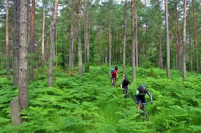 Ljubljana MTB Capital tour (e-bike enduro/all mountain) - From forest trails to Ljubljana’s Old Town