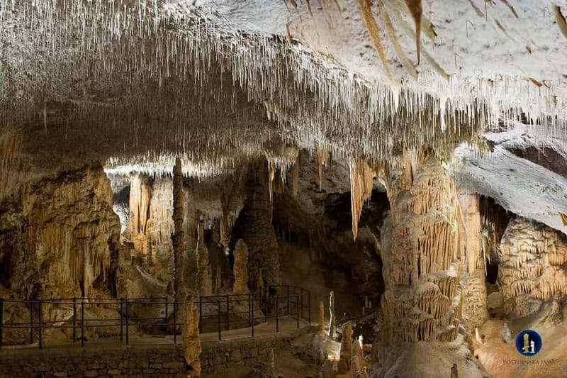 Ljubljana: Postojna Cave and Predjama Castle Tour - Pickup in Ljubljana and the one-hour drive