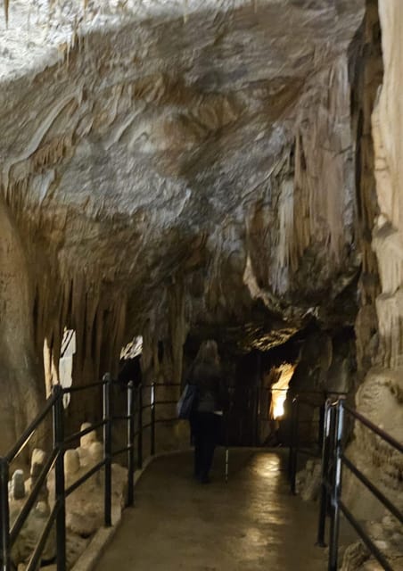 Ljubljana to Postojna Cave,Predjama Castle and Postojna park - Is $119 a fair price?