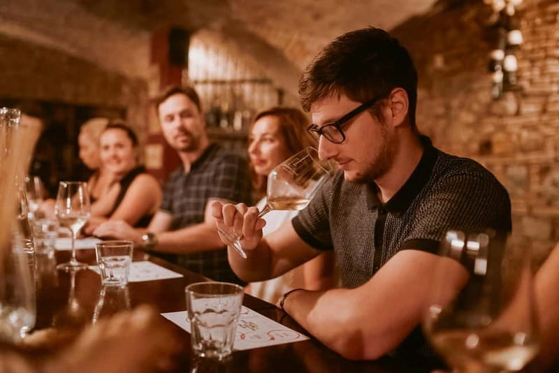 Ljubljana: Wine Tasting Experience with Appetizers - Is $62 a fair price?