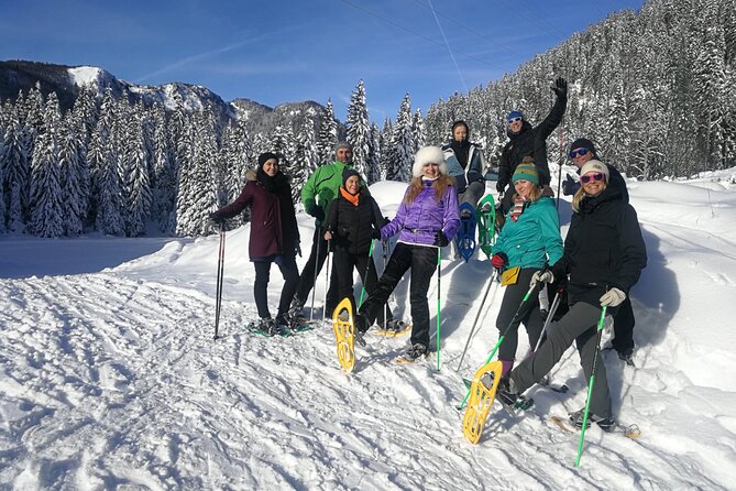 Magical Snowshoeing in Bohinj valley - The no-snow backup plan