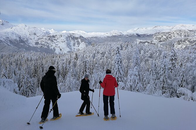 Magical Snowshoeing in Bohinj valley - Who should book this Bohinj winter tour?