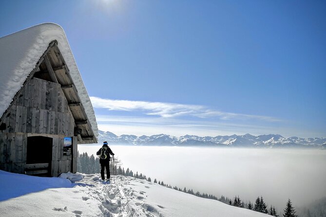 Magical Snowshoeing in Bohinj valley - Choosing between Pokljuka plateau and Bohinj valley