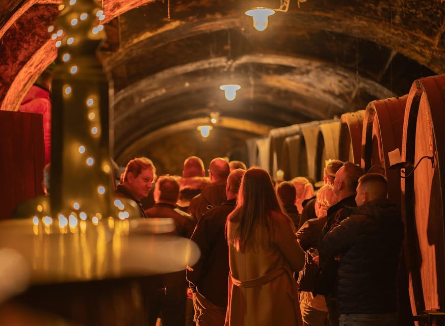 Maribor: Vinag Wine Cellar Tour with Wine tasting and snacks - Entering Vinag at Trg svobode 3