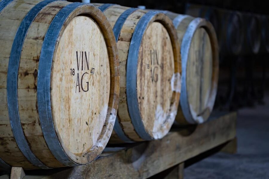 Maribor: Vinag Wine Cellar Tour with Wine tasting and snacks - The 45-minute tasting with Slovenian wine