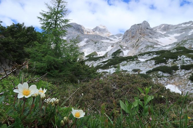 Mighty Mount Triglav Climb-summer Special-join Group - The Summit Climb and Via Ferrata Section