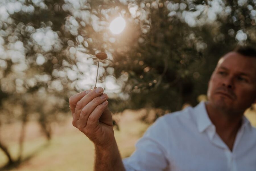 Olive Oil Tasting a Journey of Flavors and Aromas - Booking flexibility and arrival advice