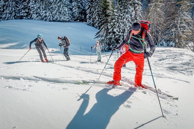 One Day Ski Touring Workshop - Practicing downhill turns on real snow