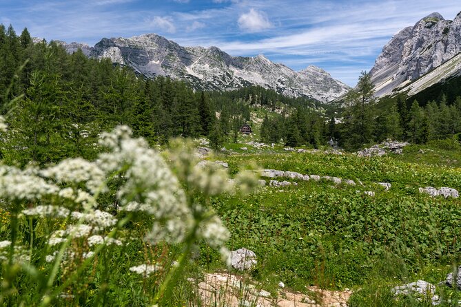 Panoramic Hike in Julian Alps - Leaving Bled for Pokljuka Plateau
