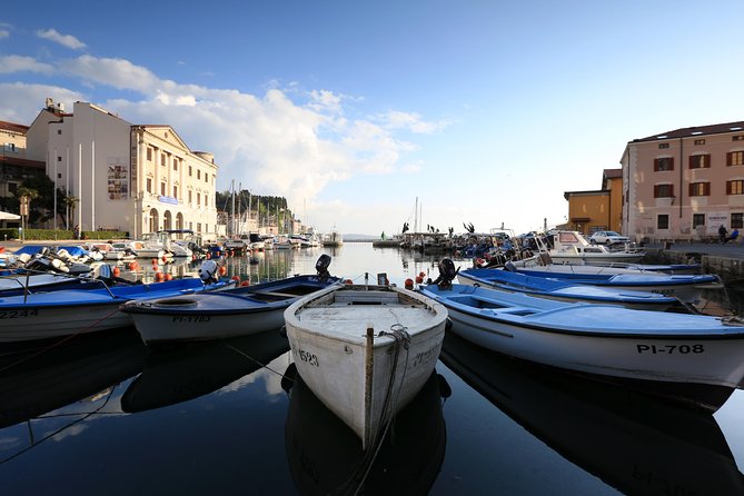 Panoramic Piran and Salt Pans: E-Bike Boutique Tour - Starting in Portorož With a View