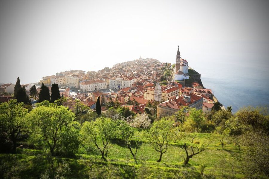 Panoramic Piran and Salt Pans: E-Bike Boutique Tour - Wine, Local Food, and the Final View