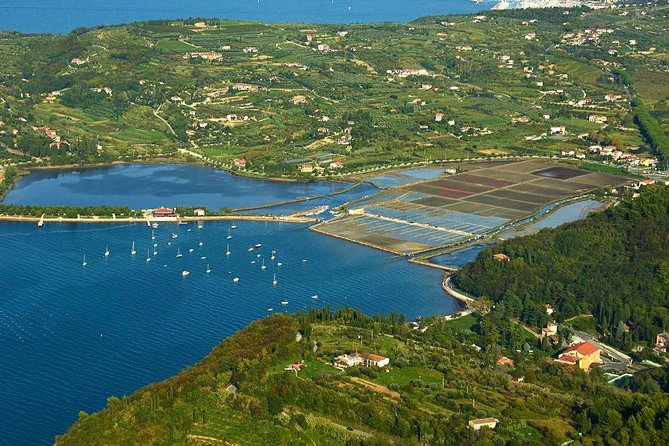 Piran and Scenic Slovenian Coast-Private Experience from Koper - Who will get the most value from the $705.61 price?