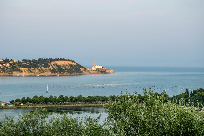 Piran Old Town Walking Tour - Why this short Piran walk works well