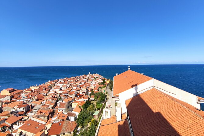 Piran Old Town Walking Tour - Sodna Palaca and the former Fontico