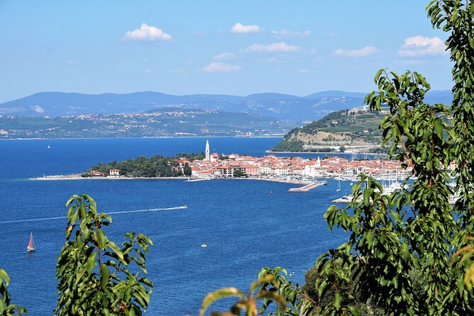 Piran & Panoramic Slovenian Coast - Small Group Tour from Koper - Izola and Portorož from the road