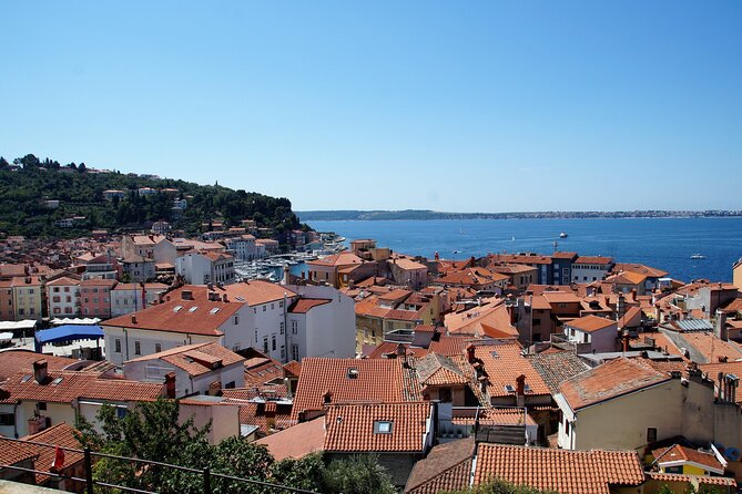 Piran & Panoramic Slovenian Coast - Small Group Tour from Koper - What the guide adds to the day