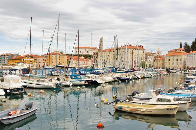 Piran & Panoramic Slovenian Coast - Small Group Tour from Koper - Is $107.23 a fair price?