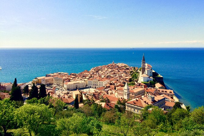 Piran Walking Tour with Local Wine and Food Tasting - Price, timing, and group size