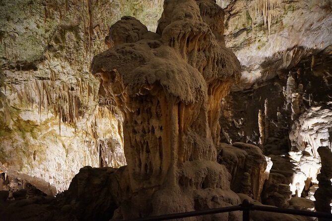 Postojna Cave and Predjama Castle Tour from Ljubljana - What the private Mercedes-Benz van adds