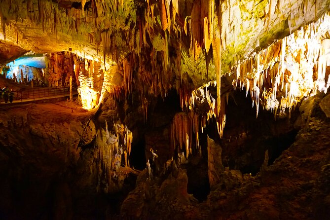 Postojna Cave and Predjama Castle Tour from Ljubljana - Postojna Cave and its unusual underground sights