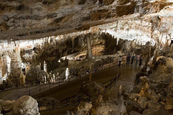 Postojna Cave with Train Ride and Predjama Castle Half Day Trip from Ljubljana - Why Postojna Cave makes a strong half-day choice