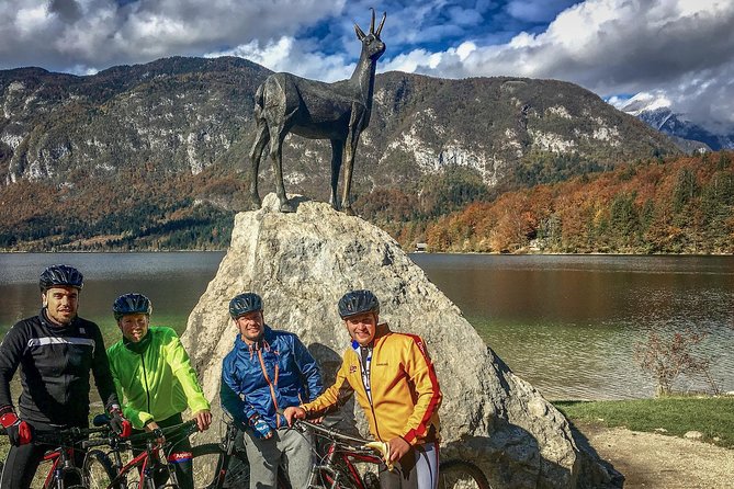 Private Biking Tour in Bohinj Valley - What the scenery feels like from the saddle