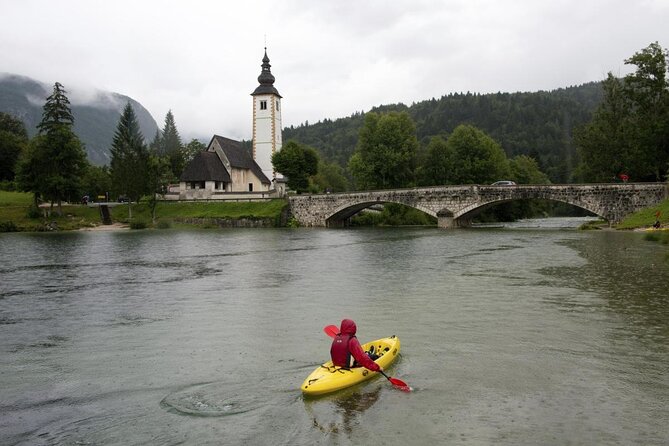 Private Bohinj & Vogel Tour from Bled - Key points to know before booking