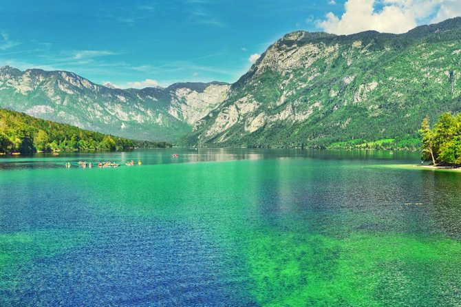 Private Bohinj & Vogel Tour from Bled - What the private format is really worth