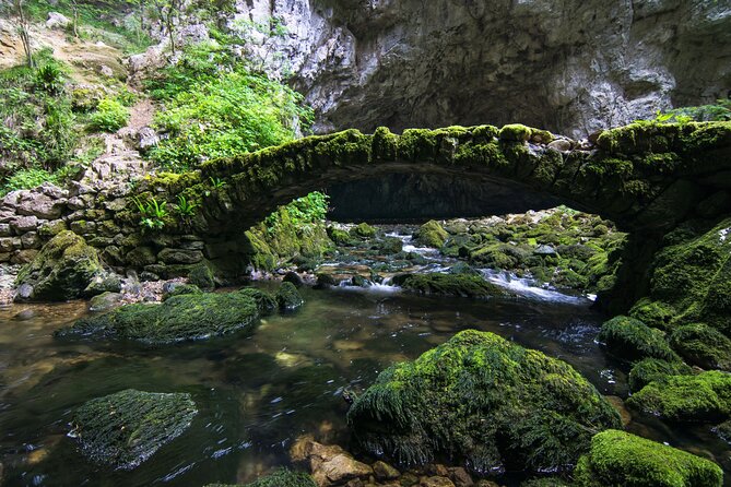 Private Postojna Cave & Predjama Castle Tour from Ljubljana - Timing, food, and what to bring