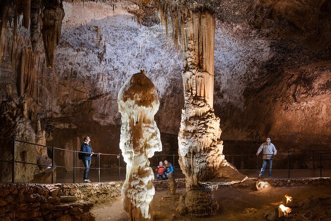 Private Tours in Slovenia from Koper - Guides, drivers, and the human side of the day