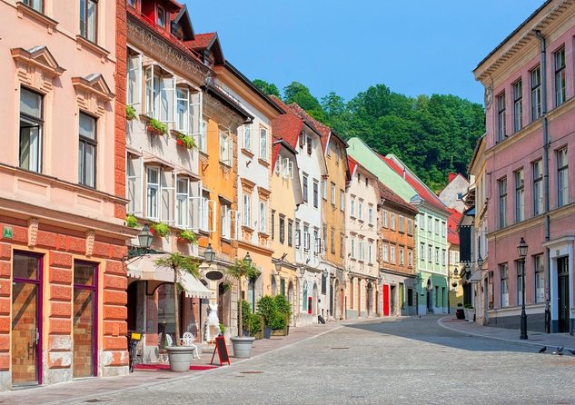 Private Walking Tour of Ljubljana Old Town - Key points to know before booking