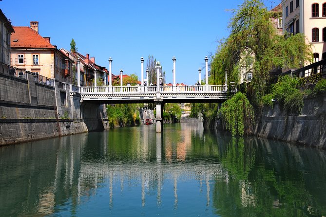 Private Walking Tour of Ljubljana Old Town - Who should book this private walk?