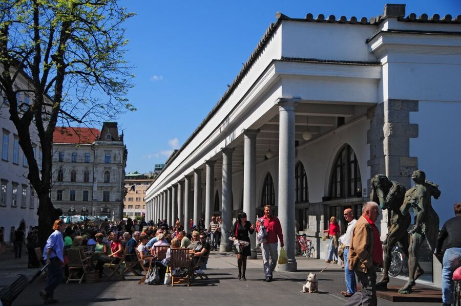 Small Group (Max 6): Ljubljana Hidden Gems Tour from Koper - Triple Bridge, Preseren Square, and the riverfront
