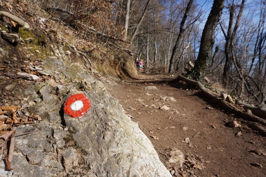 Šmarna Gora: Hiking and Food Tour from Ljubljana - Traditional Slovenian food at the summit