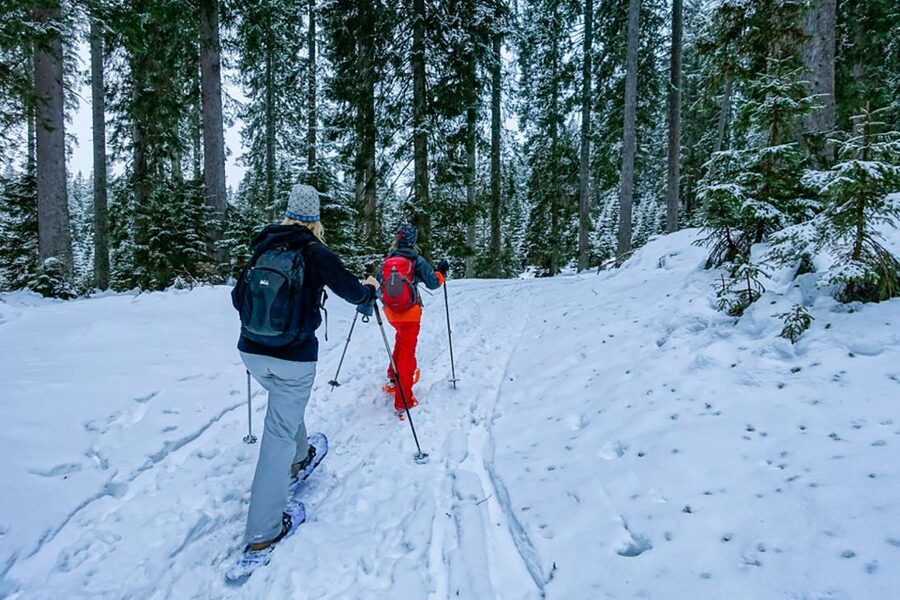 Snowshoeing in Triglav National Park - Key points to know before booking