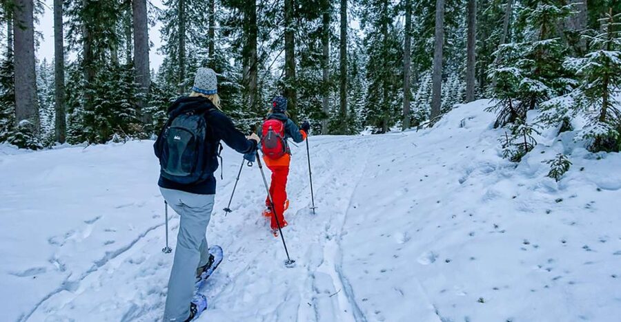Snowshoeing in Triglav National Park - Getting fitted with snowshoes and poles