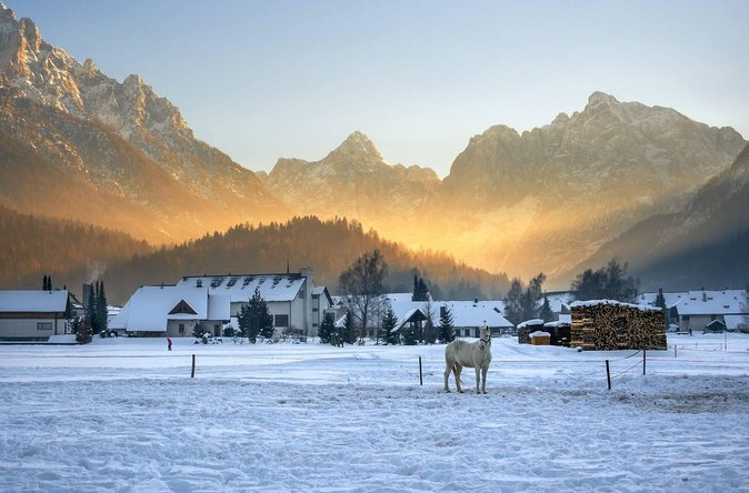 Triglav National Park and the Alps Private tour - Booking, cancellation, and practical details
