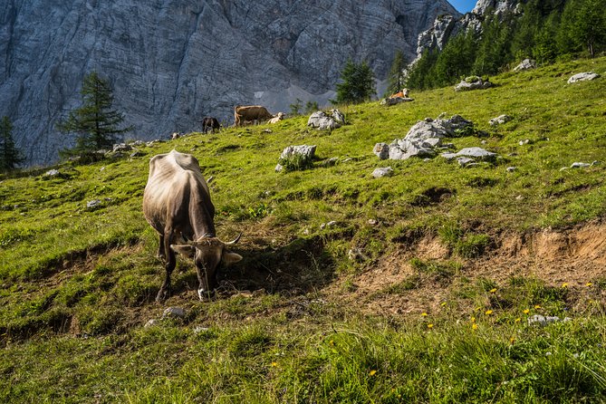 Triglav tour in 2 days Slovenia - An overnight at Triglavski Dom na Kredarici