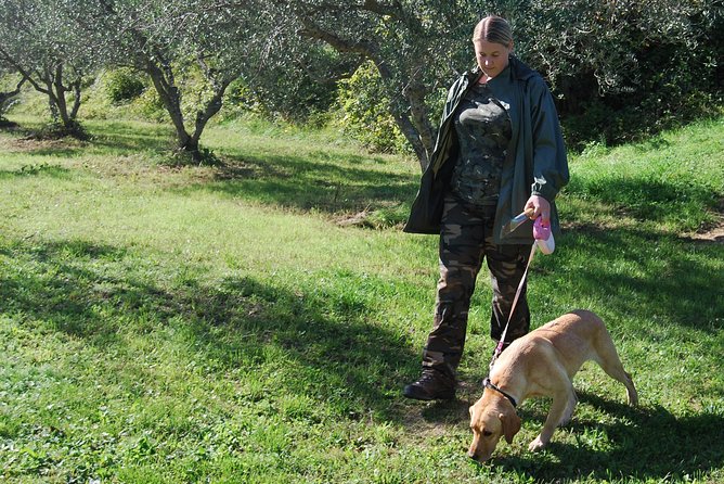 TRUFFLES: Hunting & Tasting in Istria, Slovenia - Why Slovenian Istria makes the setting work