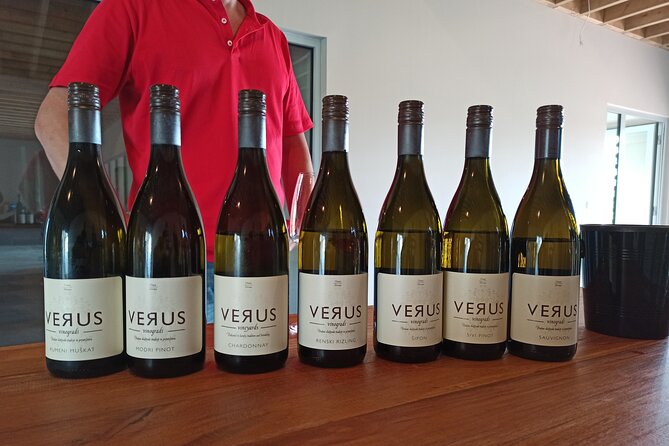 Wine and Culinary Adventure in Jeruzalem - Full Day Tour from Ljubljana or Ptuj - A private drive with pickup along the eastern route