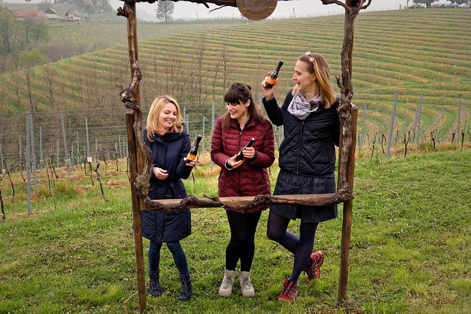 Wine and Culinary Adventure in Jeruzalem - Full Day Tour from Ljubljana or Ptuj - What the day feels like for different kinds of groups