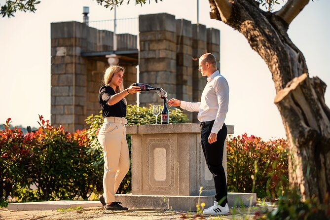 Wine Degustation in the Heart of Slovenian Istria - Key points about the Santomas tasting