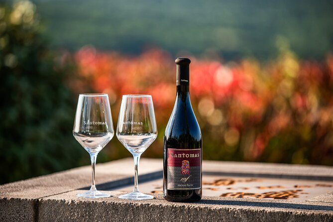 Wine Degustation in the Heart of Slovenian Istria - Arriving at Santomas in Šmarje